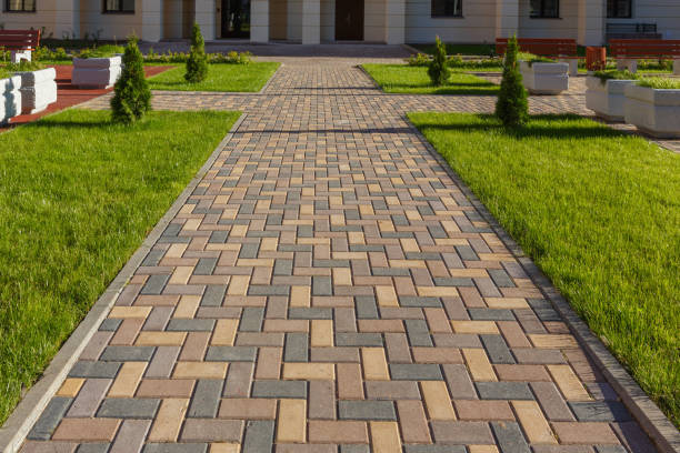 Best Local Driveway Pavers  in Tonka Bay, MN